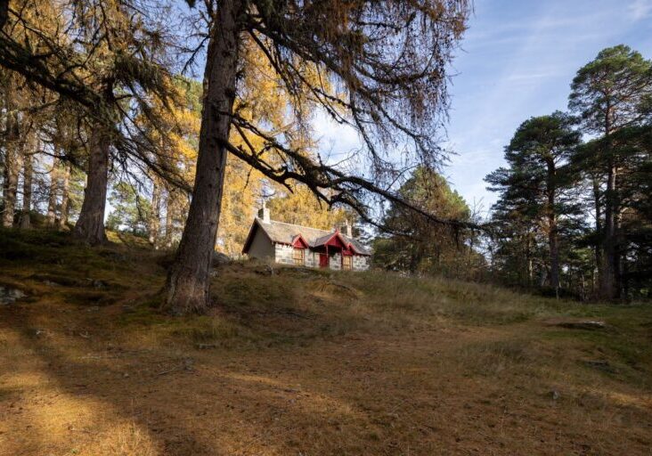 54123687864_1283dd79df_k Credit: Ben Addy, Moxon Architects.