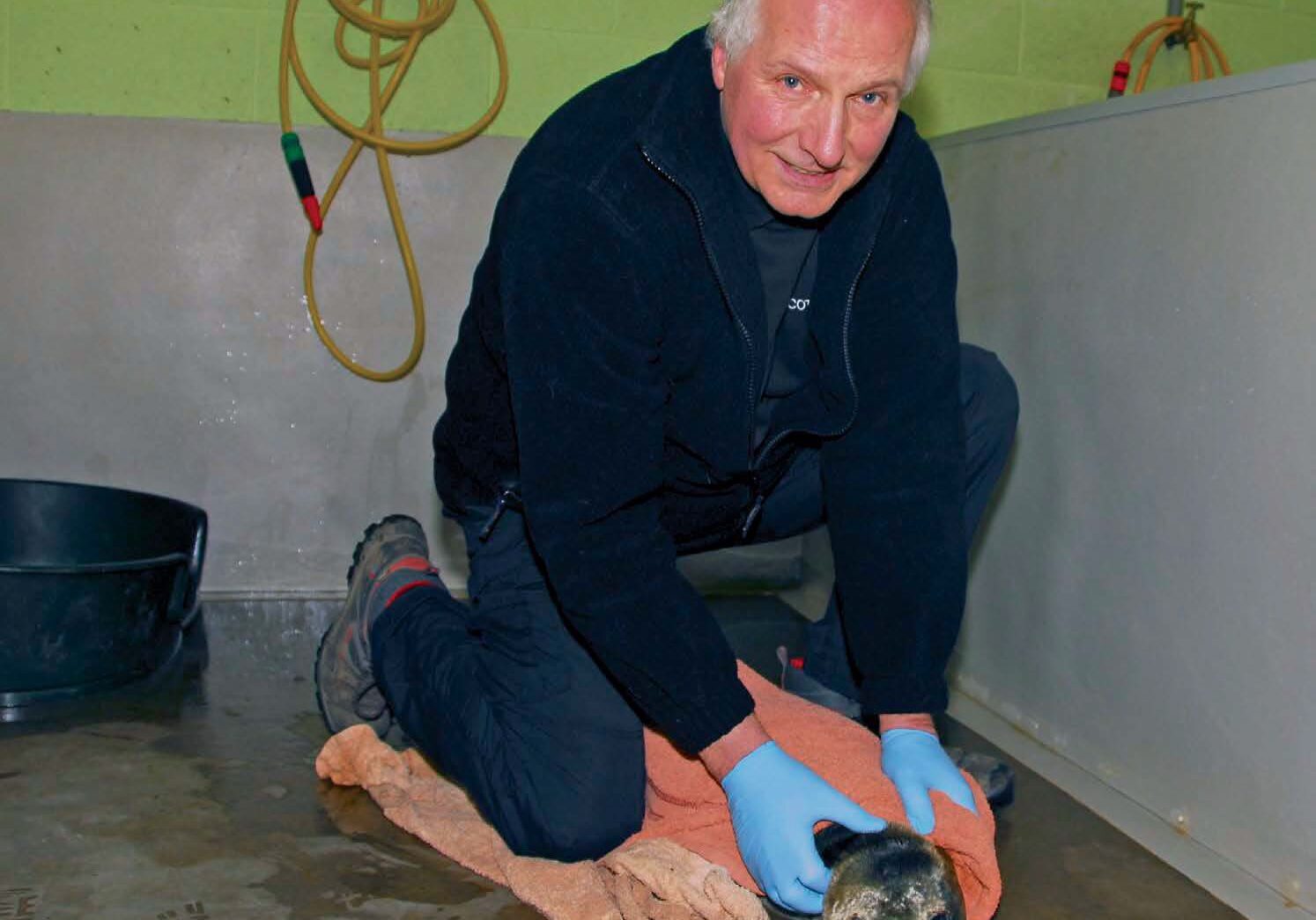Colin Seddon, the National Wildlife Rescue Centre manager, cares for an injured seal. (Photo: Polly Pullar)