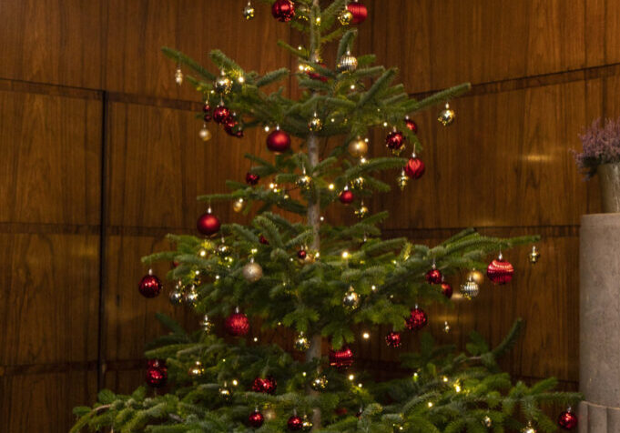 Tuesday December 13 2022: Scottish Government Christmas tree at St Andrews House, Edinburgh with - Màiri McAllan, Minister for Environment, Scottish Government
Stuart Goodall (Chief Executive of Confor) 
David Grieve (Head of Operations - Biggar Office, Highfield Forestry)