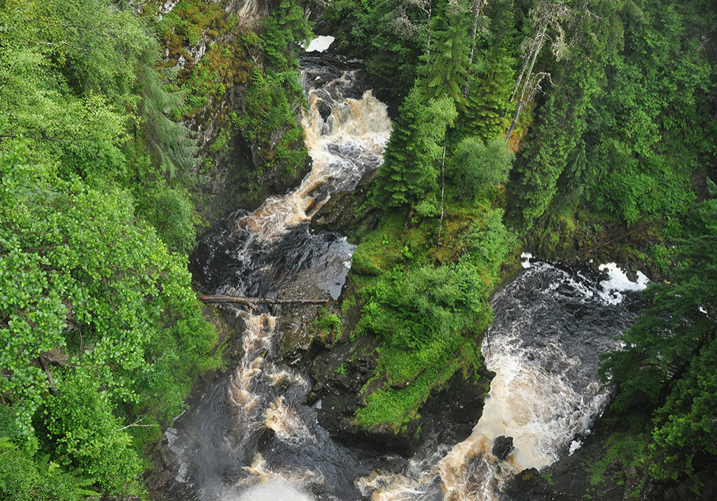 Plodda Falls, reputedly
one of the highest vertical falls in Scotland, plunges 46 metres into Glen Affric 