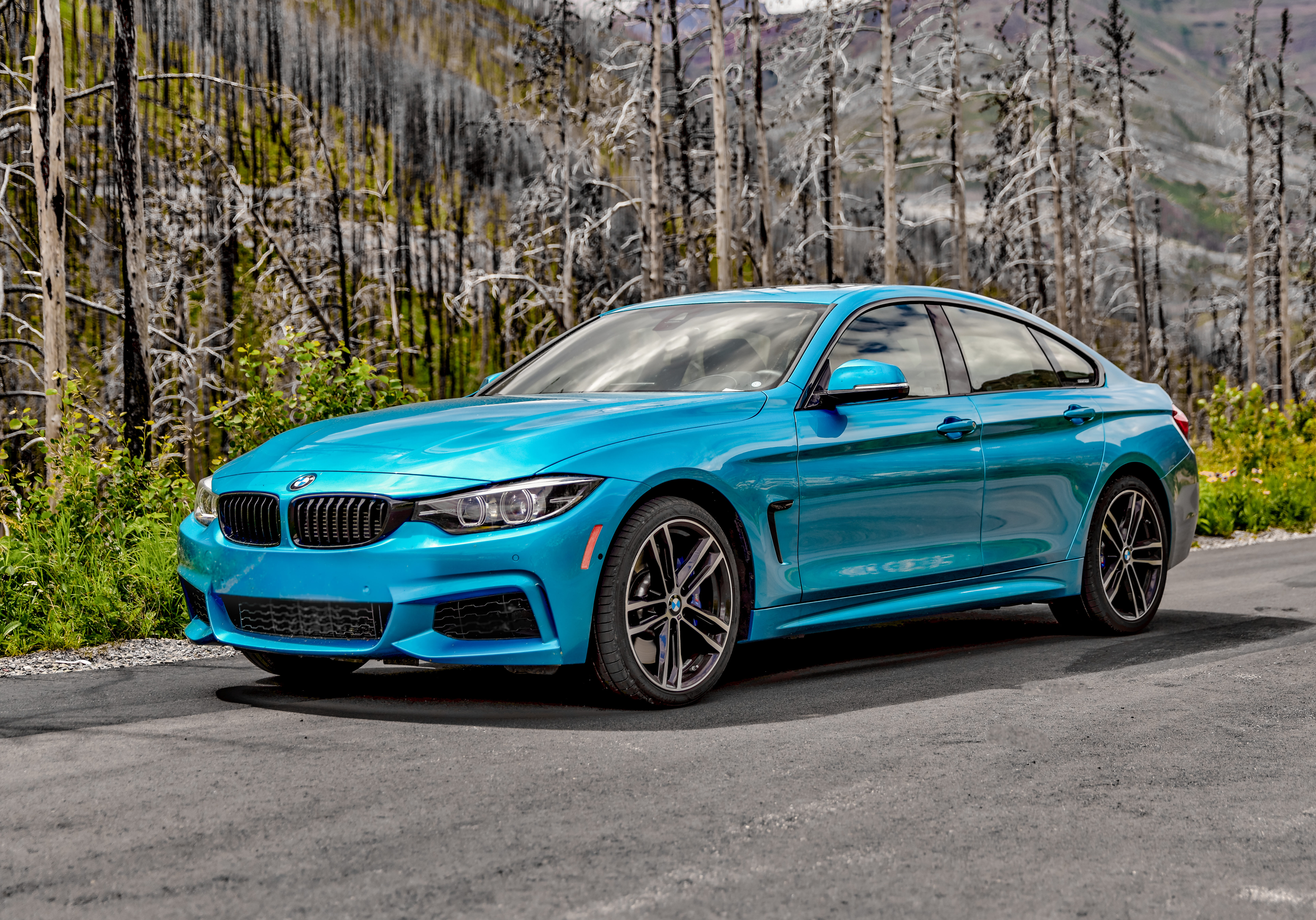 Cameron Lake, Alberta - July 9, 2021: BMW 4 series on the side of a forest highway in Alberta