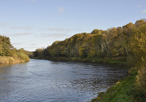 Ardoe-and-Murtle-Fishing-Beat-River-Dee-3