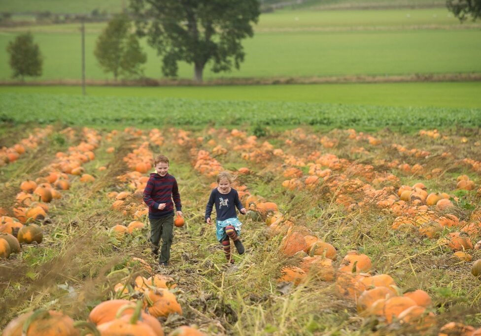 The McEwan family of Arnprior farm are all set for Arnprior Pumpkins annual October event.