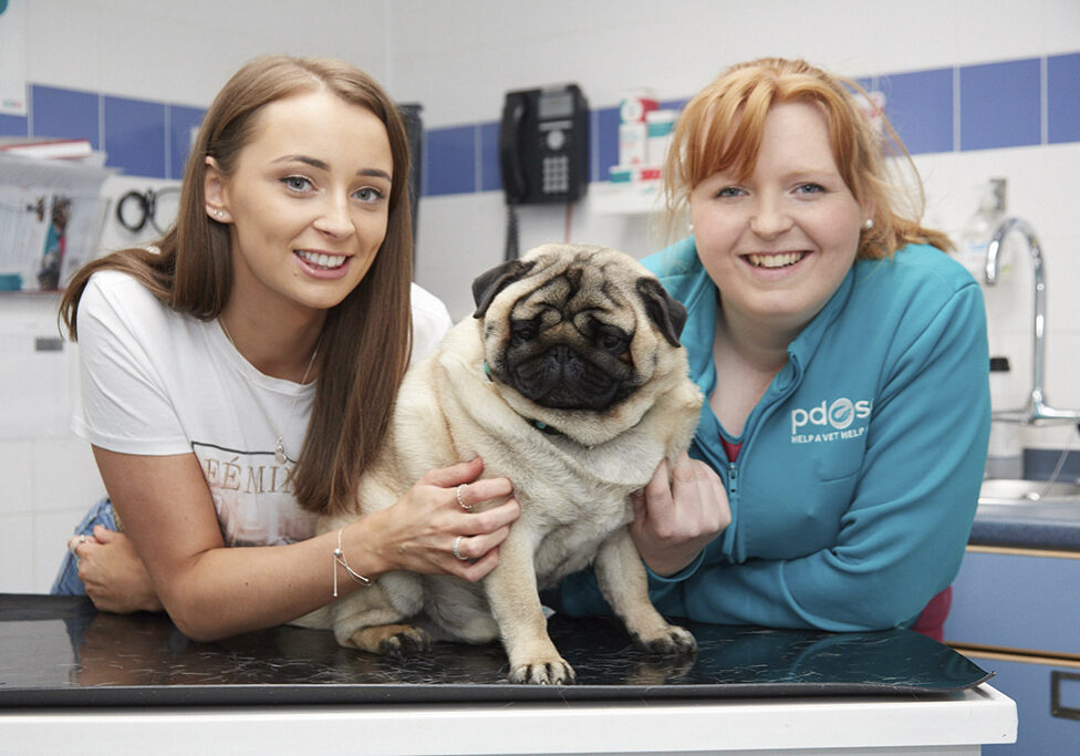 Percy the Pug and his owner Chloe Morrison, at the PDSA in Glasgow