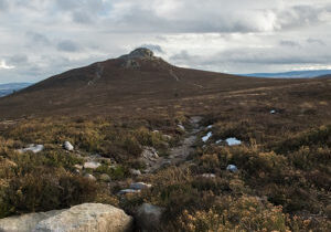 Bennachie1-300x225