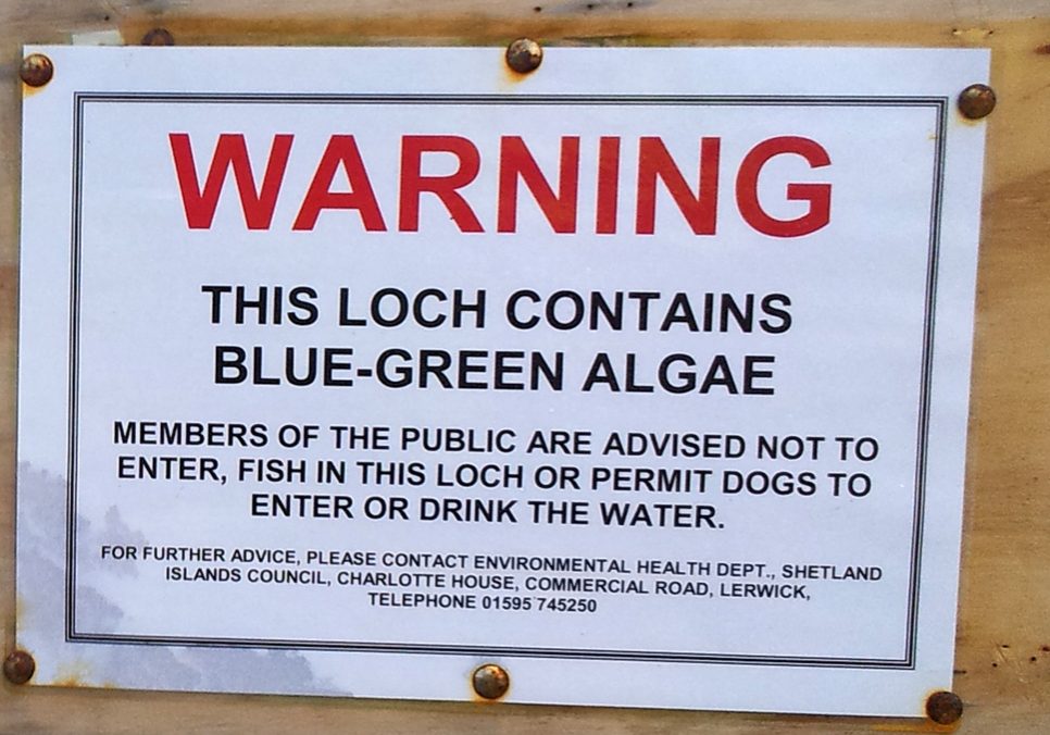 The sign at Collaster Loch, in Twatt, warning of the algae