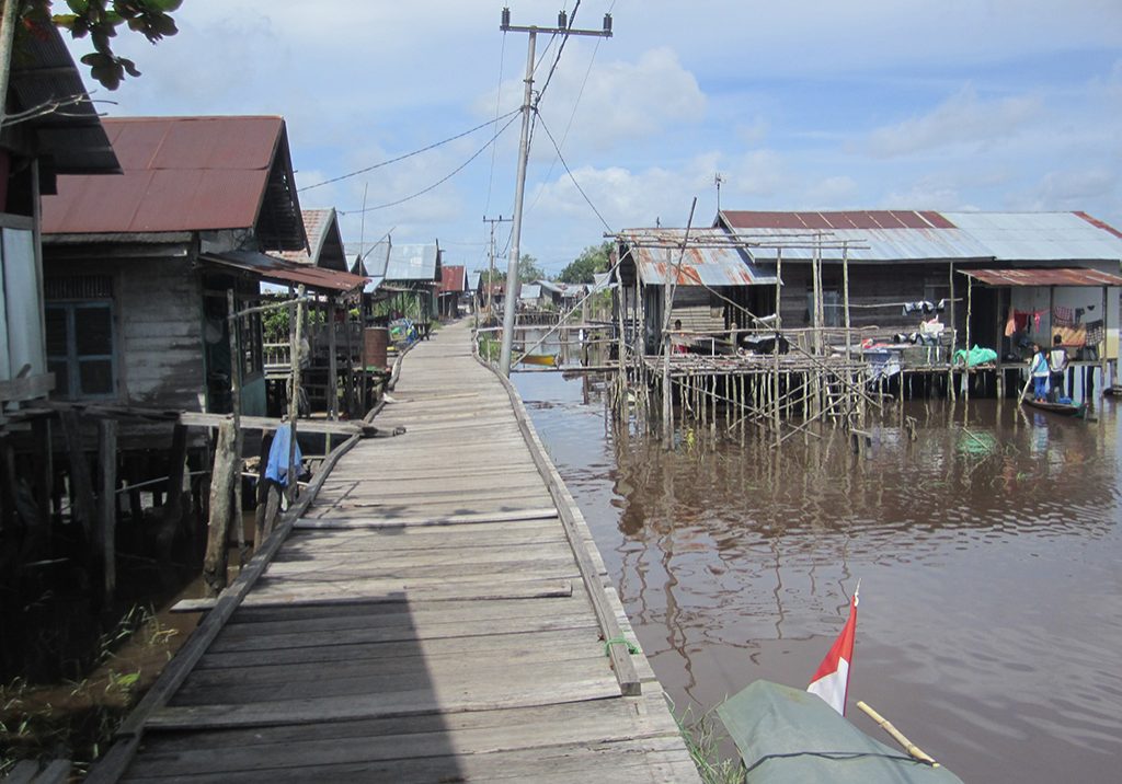 A boardwalk on stilts in Borneo