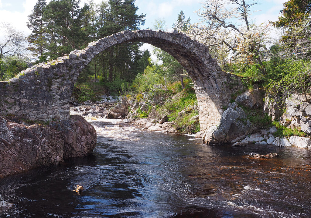 The famous bridge in Carrbridge