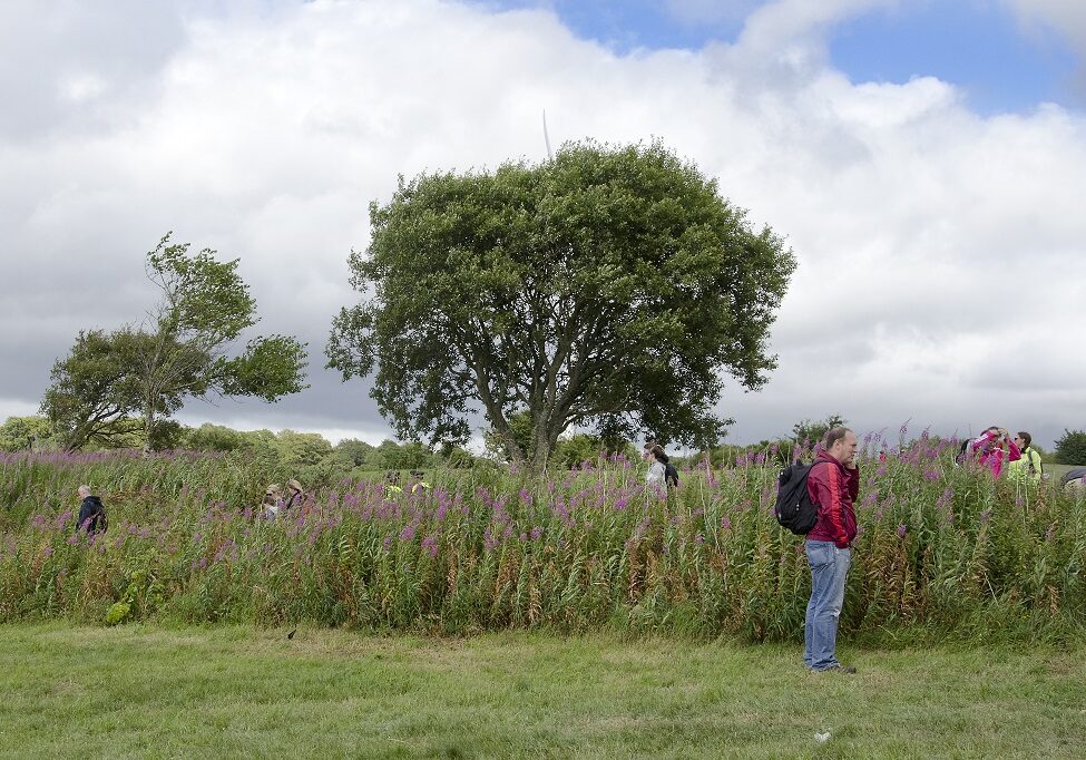 The Cathkin Braes