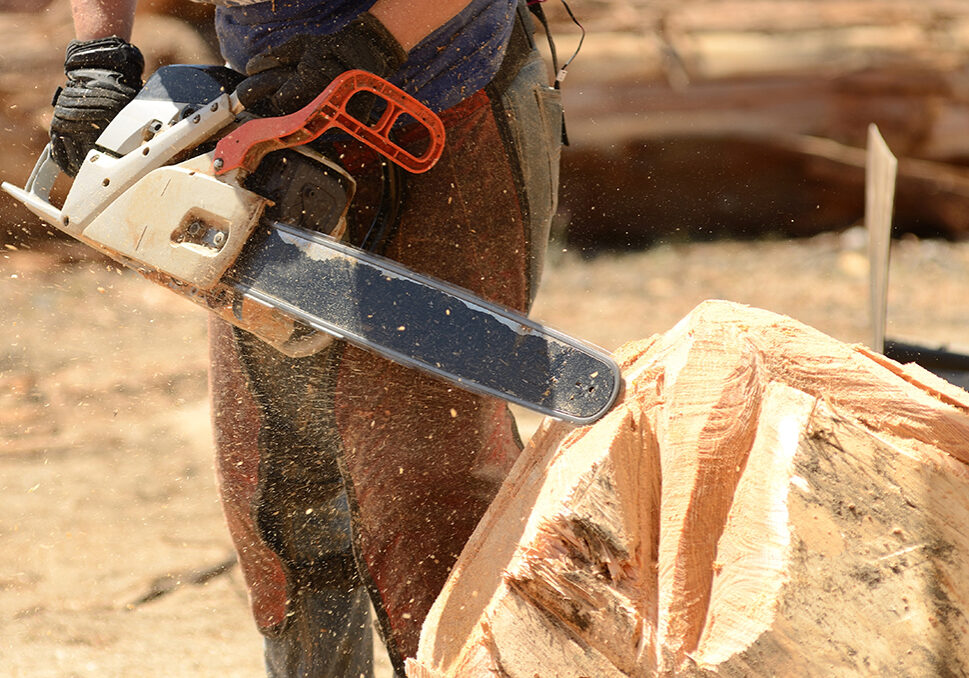 Chainsaw carving 1