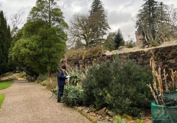 Charlotte auditing at Brodick Castle on the Isle of Arran. Credit: Colin McDowall/National Trust for Scotland