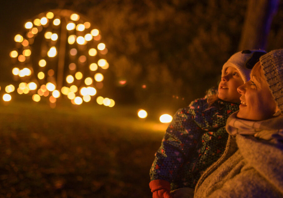 Photo by Phil Wilkinson 
Issued on behalf of Christmas at the Botanics.
Free first use only.

Images if the 2019 Christmas at the Botanics, held at the Royal Botanic Gardens Edinburgh RBGE.