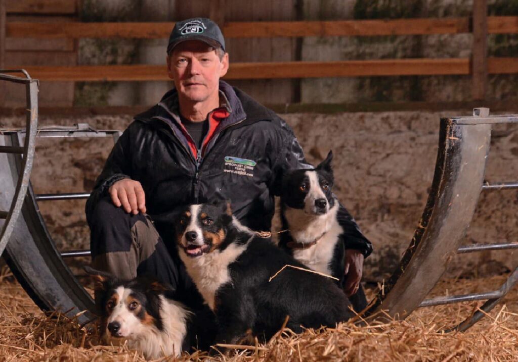 Mosse breeds and train Border Collies (Photo: Angus Blackburn)