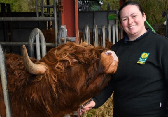 Melissa Curran helps care for Pollok Country Park's herd of 73 Highland Cows.
