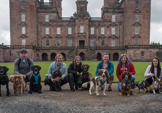 The dogs of Drumlanrig