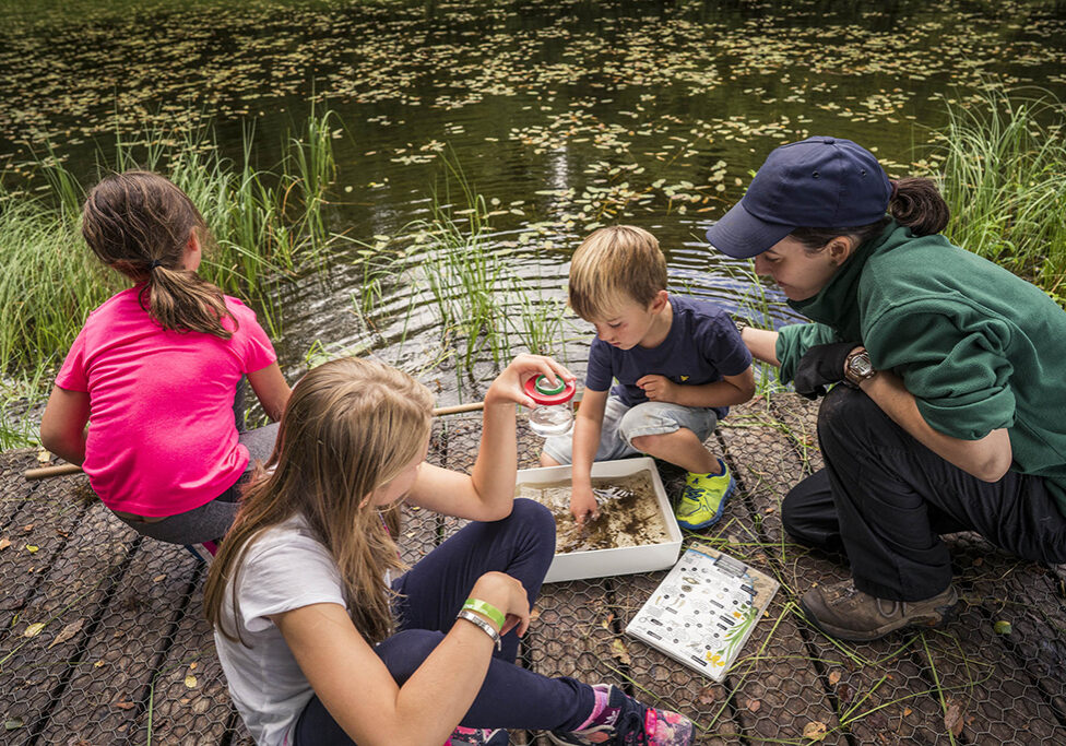 Drumlanrig Ranger activities are a great outing for families.