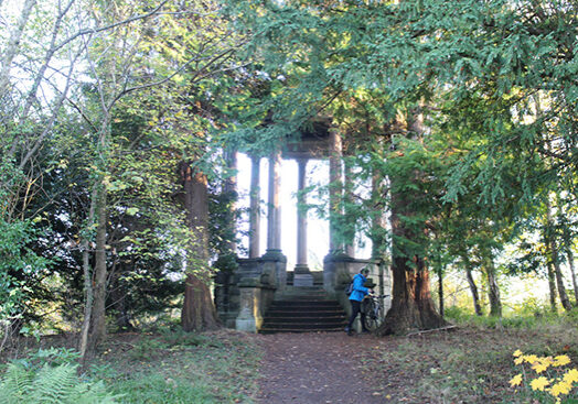 An arboreal walk will be held at the Duke’s Monument, Barncluith, in Chatelherault Country Park