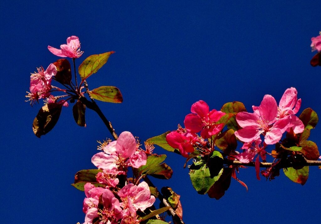 Beautiful colours in the Esk, in XXX, taken by Nik Watt