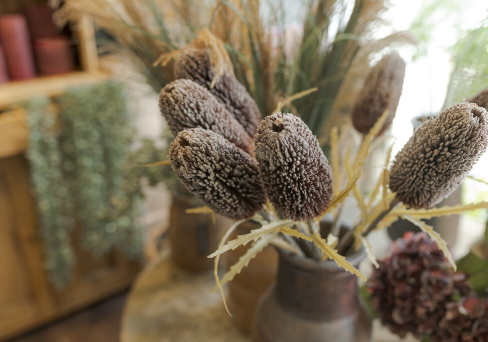 Faux-Banksia-Stems-Hendersons-Garden-Home-Store-www.hendersonsofmelrose.co_.uk_-1024x681