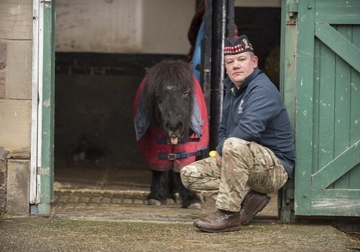 Cruachan III with Corporal Mark Wilkinson, the Royal Regiment of Scotland's pony major