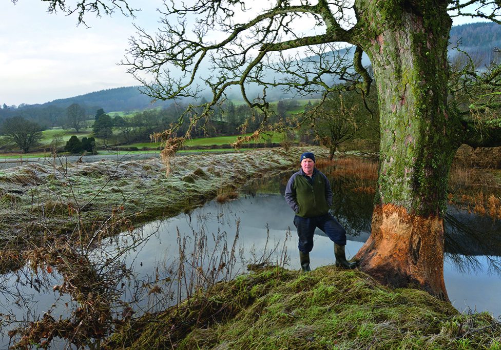 Roddy Kennedy by one of his damaged sycamores, which will have to be felled. (Photo: Angus Blackburn)