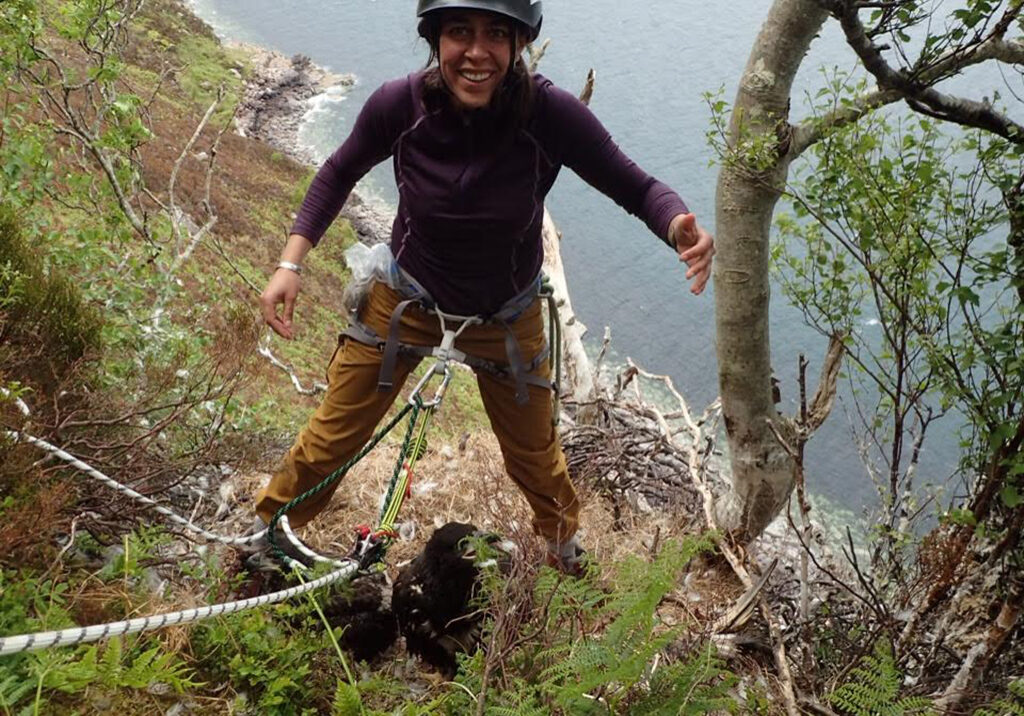 Gabriela Peniche putting chicks back in a white tailed sea eagle’s nest 