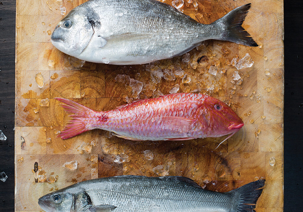 Gamba_3 Fish Chopping Board_IMG_1177_LR Gamba_3 Fish Chopping Board_IMG_1177_LR