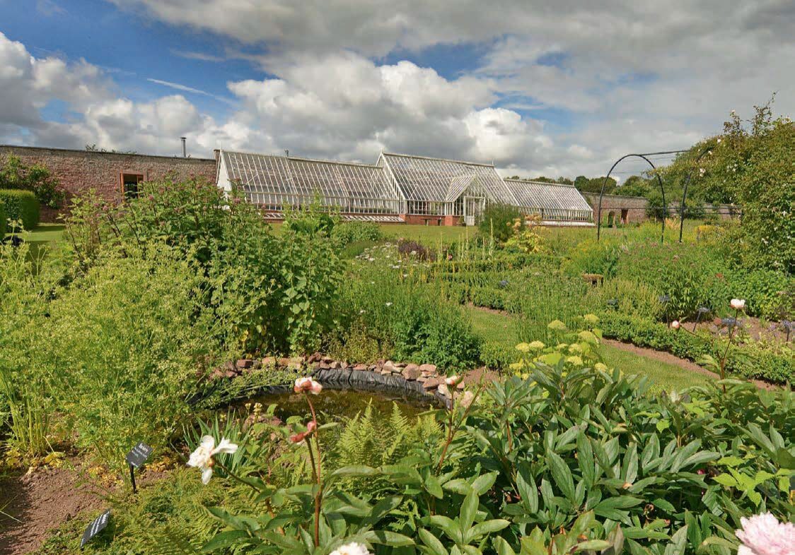 The greenhouses in the walled garden. (Photo: Angus Blackburn)