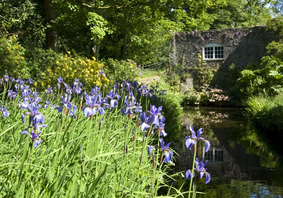 Geilston Garden, Cardross.