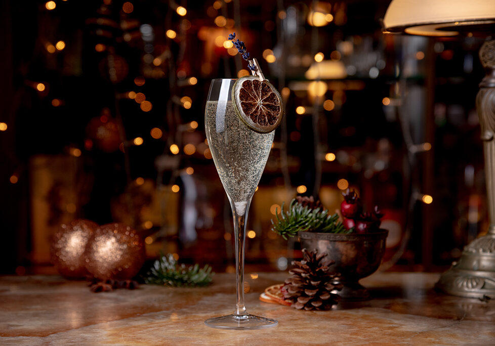 GingerGinFizz The Ginger Gin Fizz