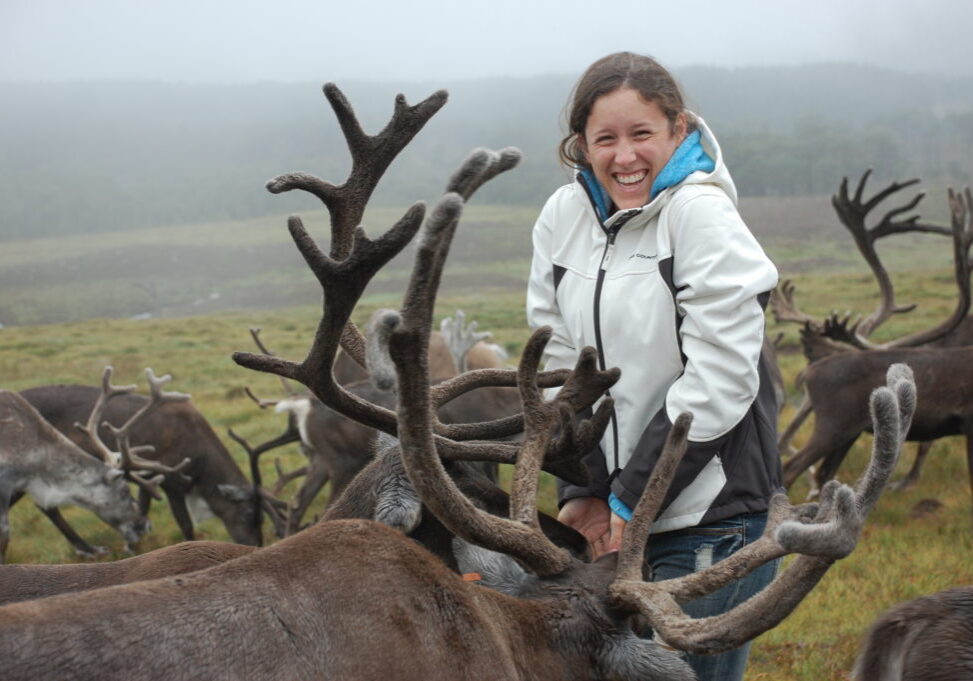 Handfeeding-Credit-Cairngorm-Reindeer-Herd-1024x681
