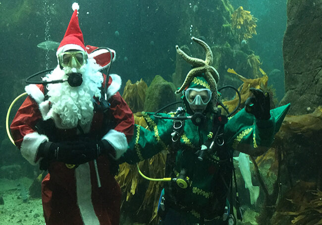 Santa will be visiting the Macduff Aquarium this weekend