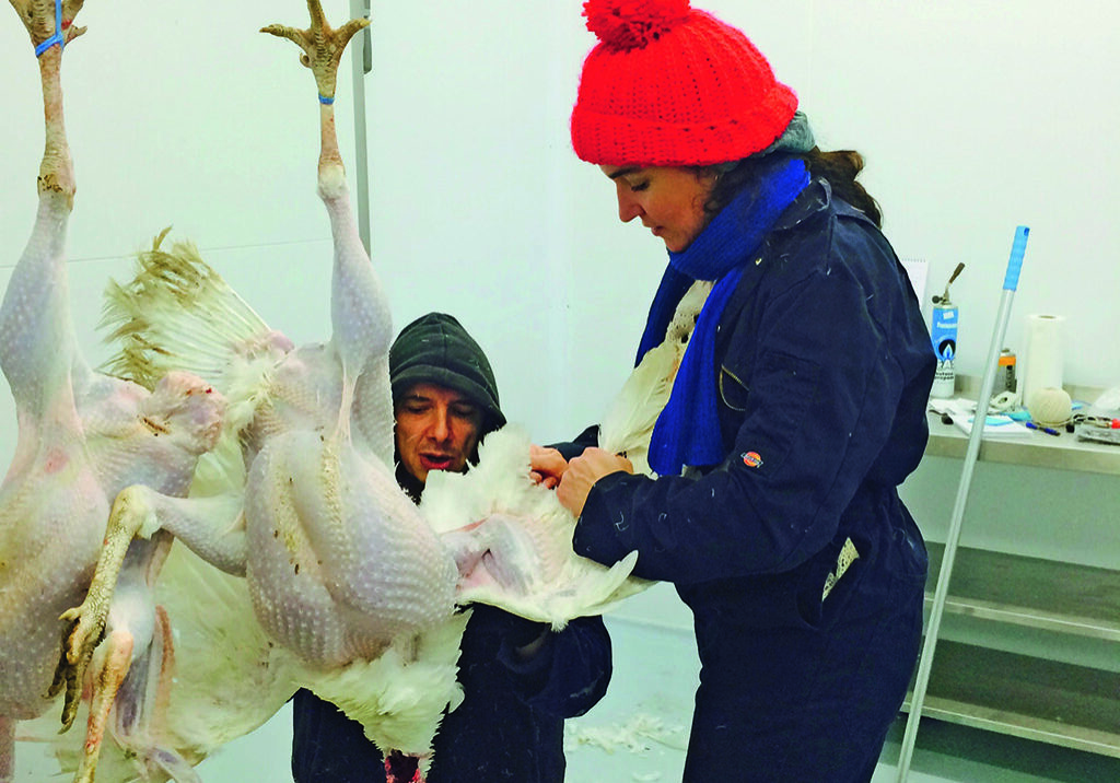 Lucy Beattie raises between 50 and 100 turkeys each year on her farm in Ullapool