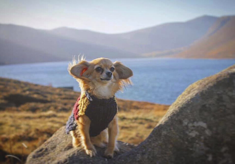 Loch Muick is a fantastic escape, far removed from city life.