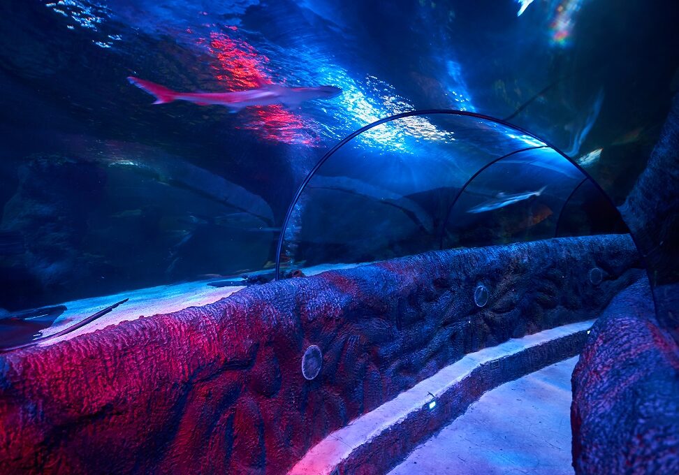 Inside the Sea Life Centre at Loch Lomond