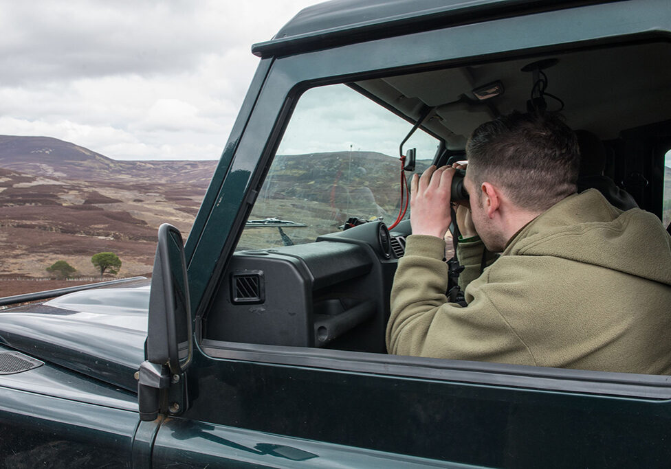 Keepers at Invercauld searching for sea eagle (Picture: Steven Rennie Photography) 