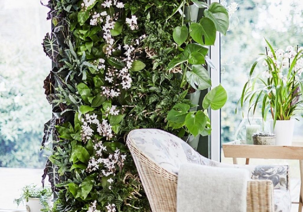 A living wall creation
