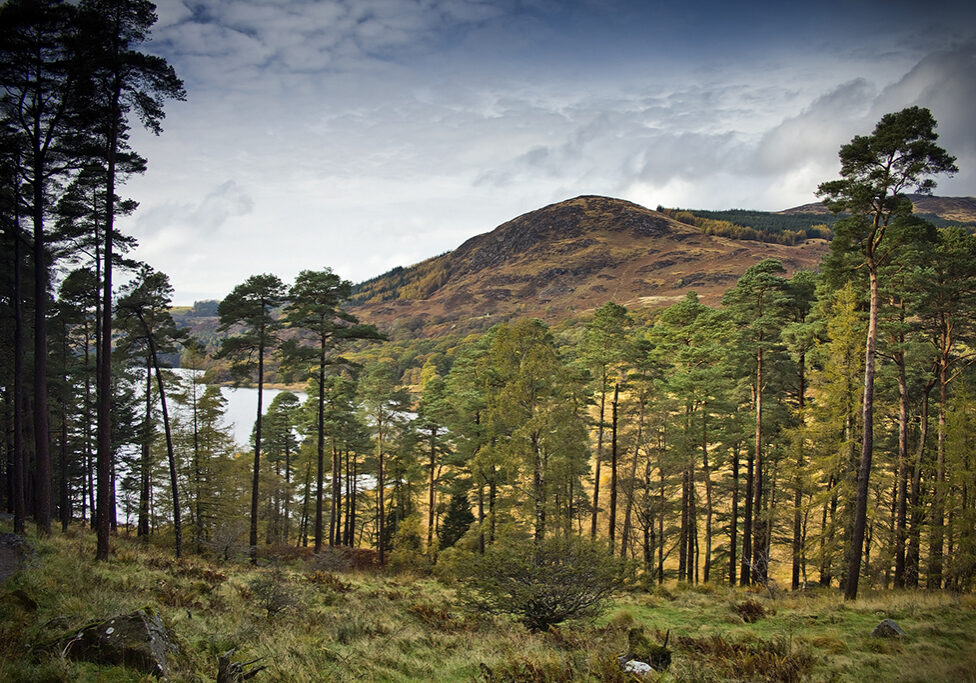 Beautiful Loch Trool