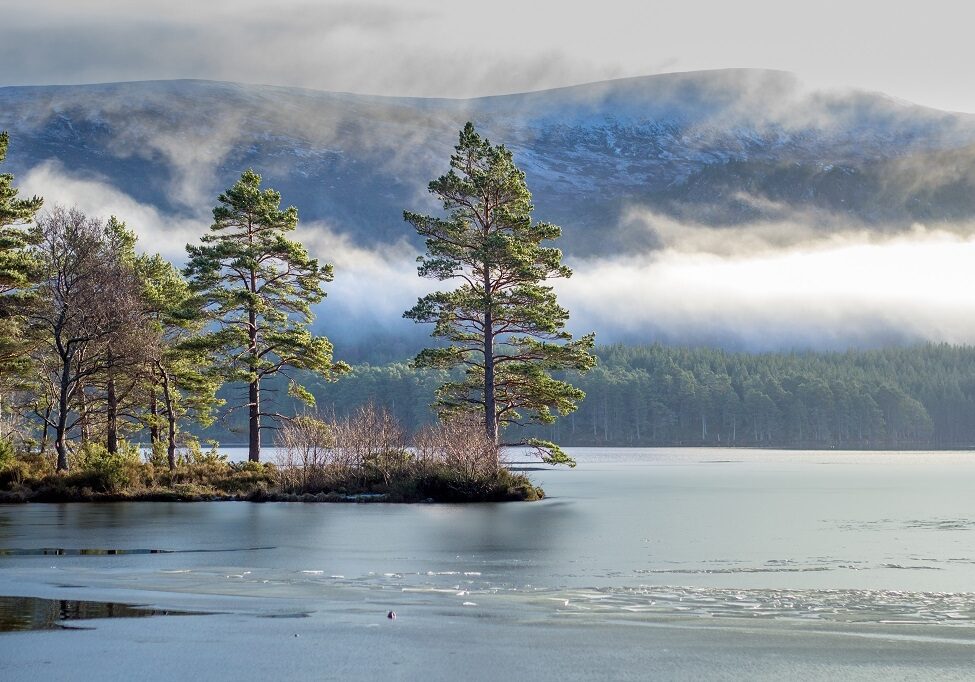 Loch an Eilein in the Cairngorms National Park