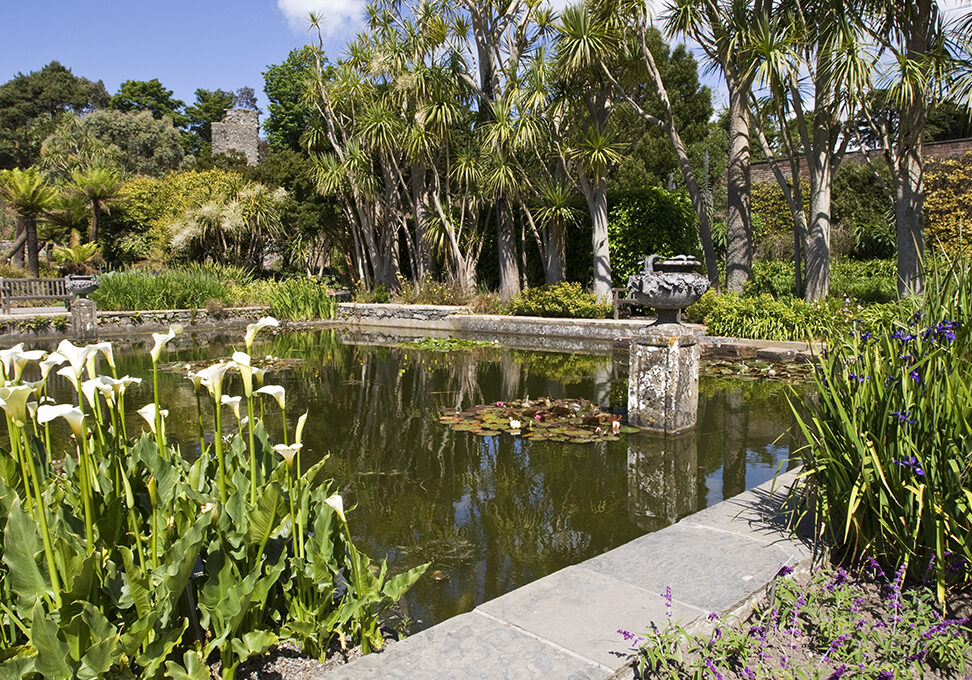 Logan-The-Walled-Garden-with-ruins-of-Castle-Balziel-in-the-background