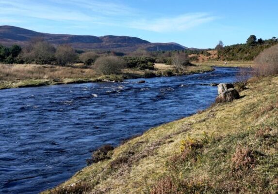 Lower Brora Fishings 7 (Large)