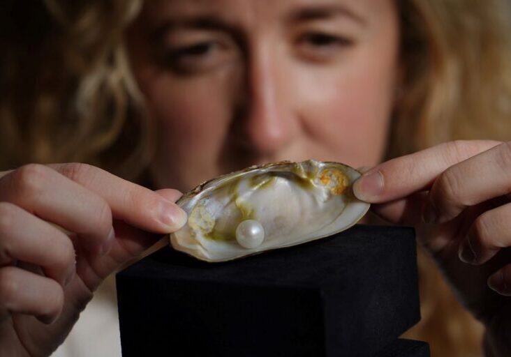 Lyon & Turnbull's Head of Jewellery, Ruth Davis FGA DGA, with The Abernethy Pearl 0 Image by Stewart Attwood (1) Lyon & Turnbull's Head of Jewellery, Ruth Davis FGA DGA, with The Abernethy Pearl. Credit: Stewart Attwood.