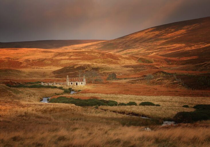 Abandoned cottage bathed in low December light. All pictures credit: Andrew Burns