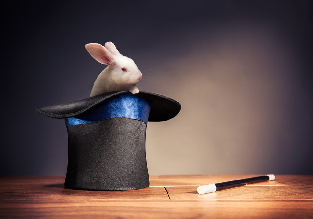 Magic rabbit top hat