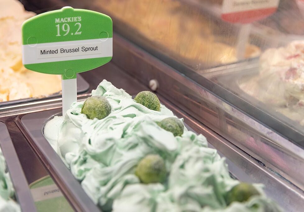 Minted-Brussels-Sprout-Ice-Cream