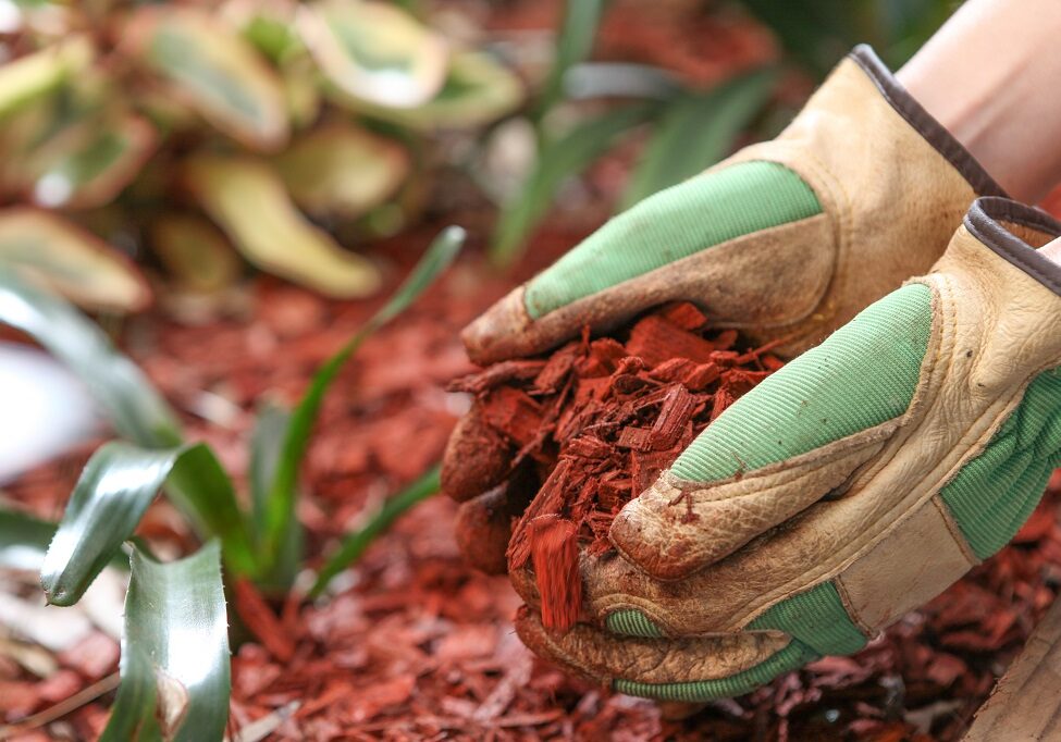 Mulch for the garden