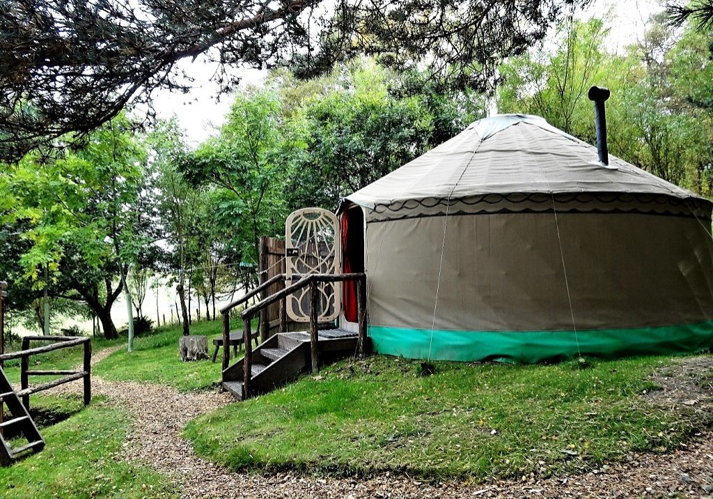 The Old Pine Yurt