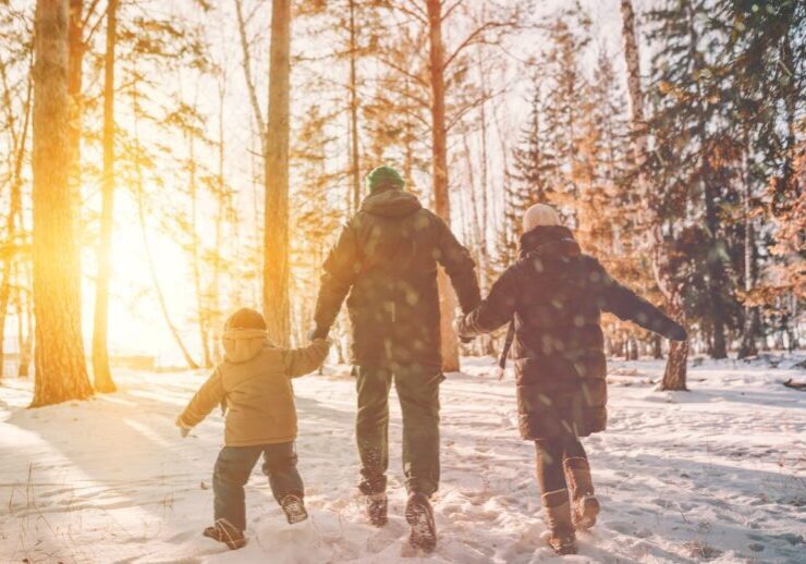 Outdoors Family walking in winter forest park in snowfall
By avtk / Adobe Stock
