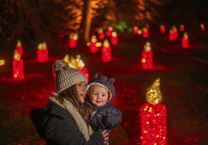 PW_ Christmas at the Botanics 2024_82 Mother and son enjoy Candles by Culture Creative.