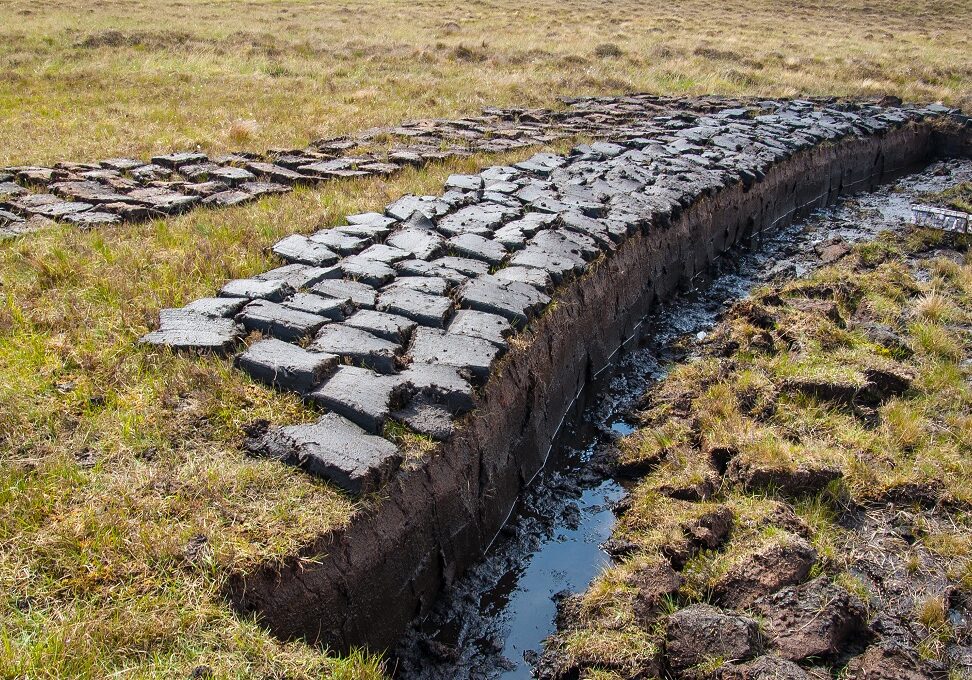 Peat cutting